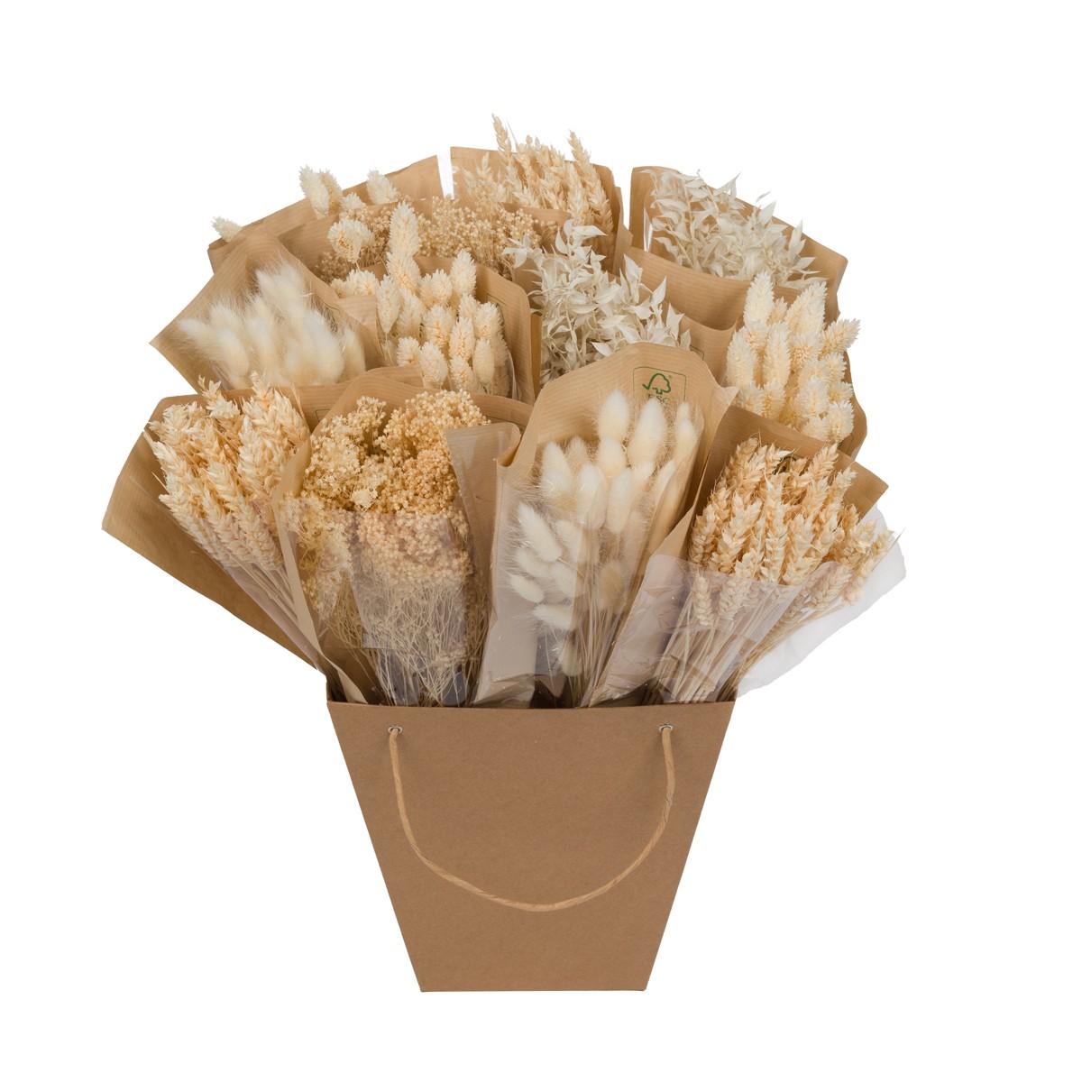 Trockenblumen – Getrocknete Mono-Mischung – Weiß – ↕50 cm