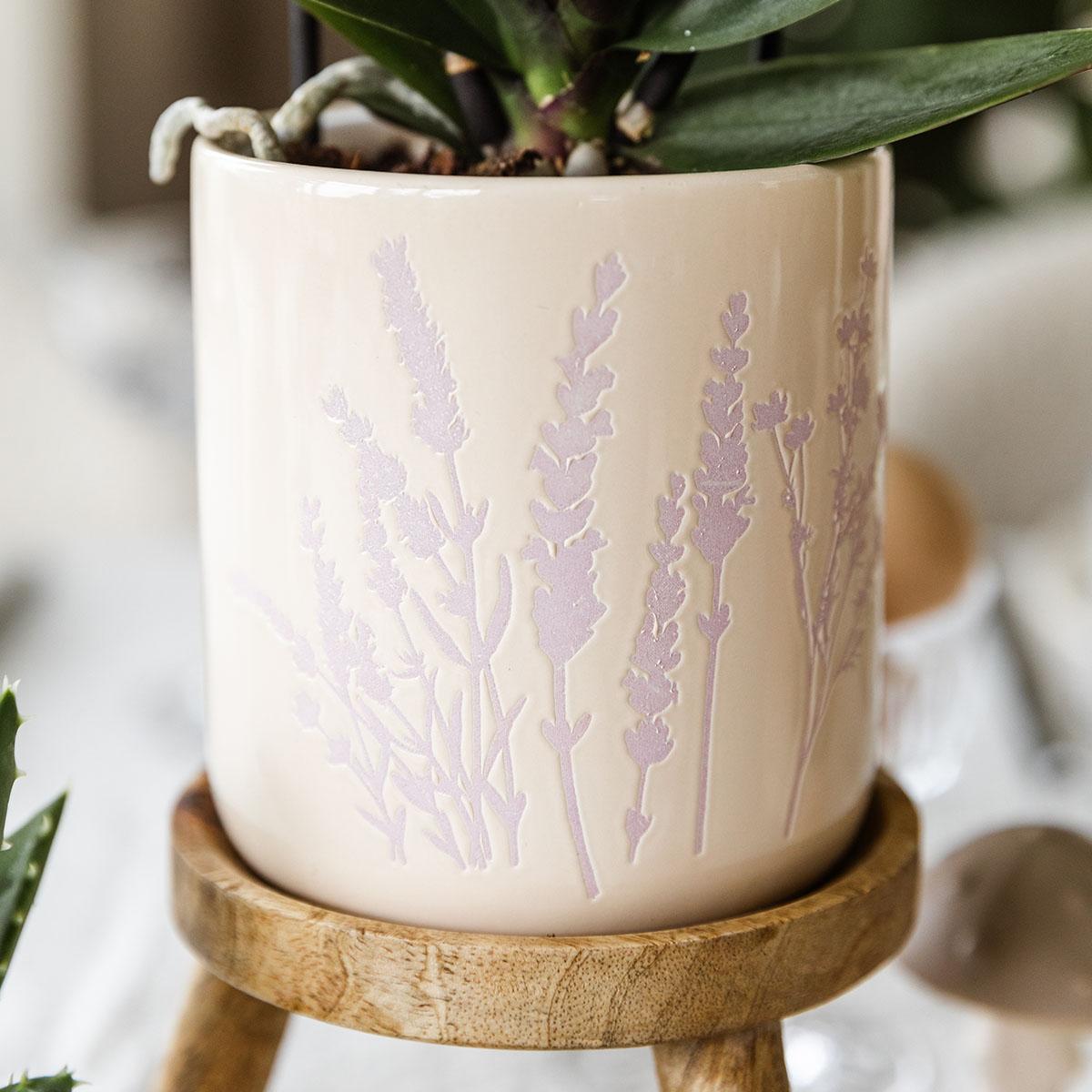 Kolibri Orchids | Dark pink orchid Frederikstad + Floral decorative pot lavender - pot size Ø9cm | flowering houseplant - fresh from the grower