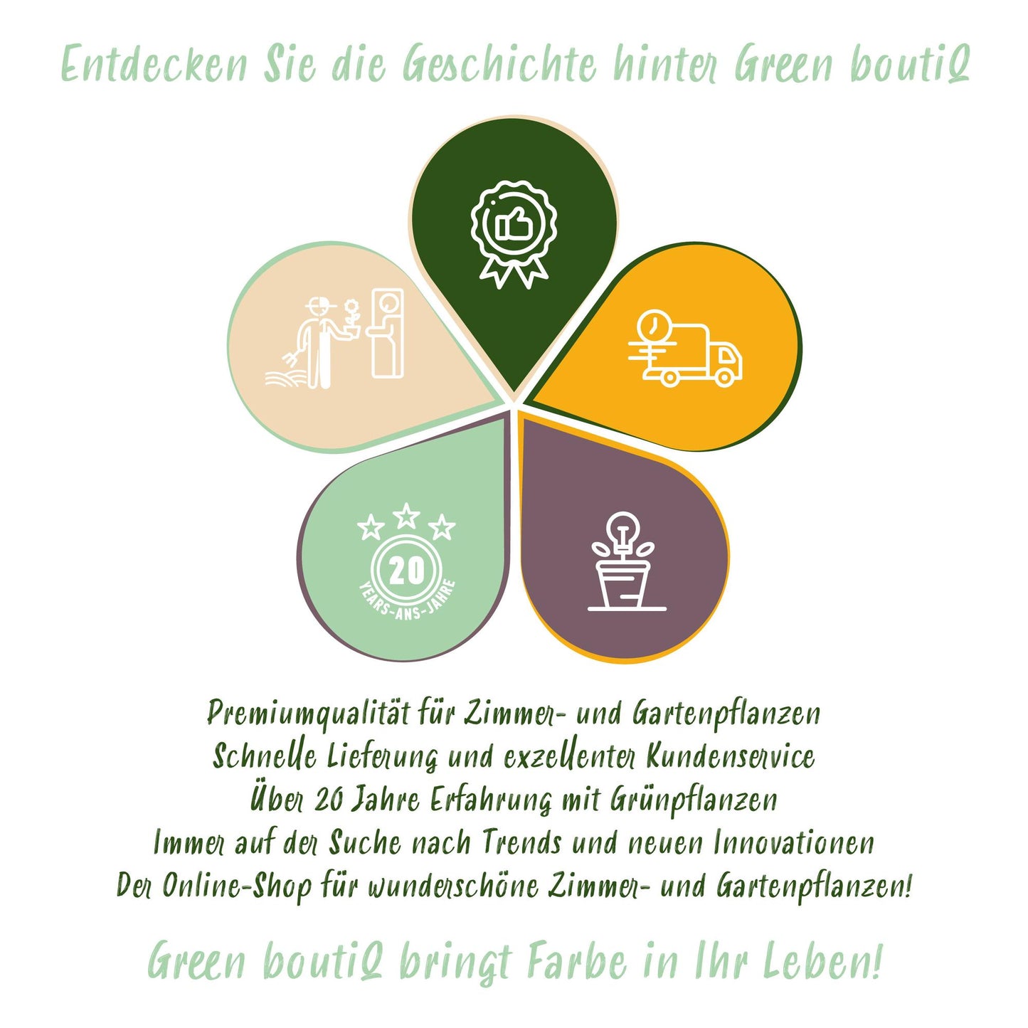 Green boutiQ - Kamerplant - Cyperus alternifolius Zumula - Kattengras - Huisdiervriendelijk - Groen - 4 Planten - Pot 12cm - Hoogte 28-30cm