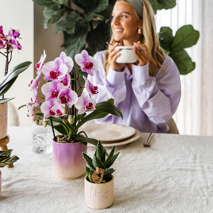 Kolibri Home | Gradience sierpot - Purple - Ø6cm