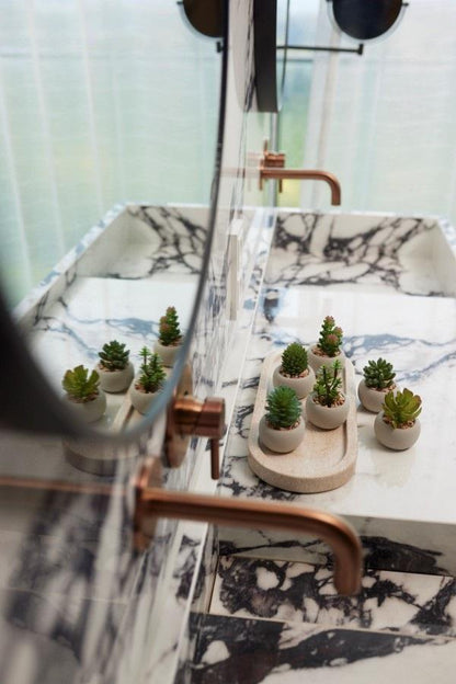 Kunst mini vetplanten in cementen pot - Succulent mix set 6 - Ø 6,5