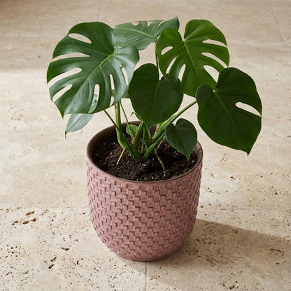 Mini pot relief roze D7
