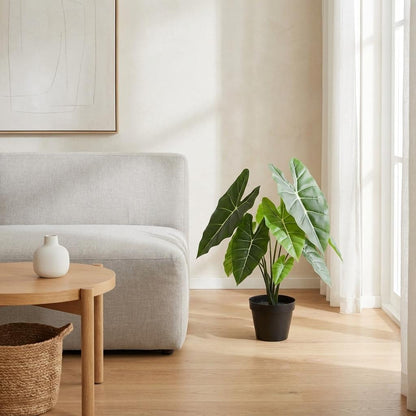 ARTIFICIAL Alocasia Polly - 40cm