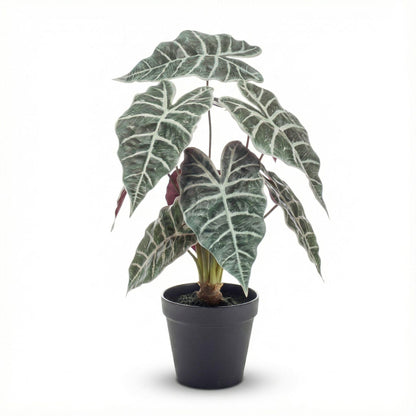 Alocasia bush in pot 40 cm - Kunstplant - Artificial plant