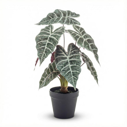 Alocasia bush in pot 40 cm - Artificial plant - Artificial plant