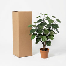 ARTIFICIAL Polysicas Fabian - 55cm