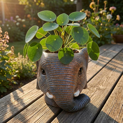 Planter Olifant D11/12x10cm - Grijs - D11/12x10cm