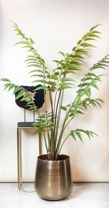 Kunstplant - Rumohra Adiantiformis - Ledervaren - 150 cm