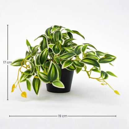 Tradescantia Groen/Wit in pot - 19 cm - Kunstplant