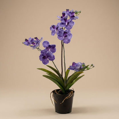 Orchidee Vanda, künstliche Pflanze, 60 cm – Lila – Im Topf – Künstliche Pflanze