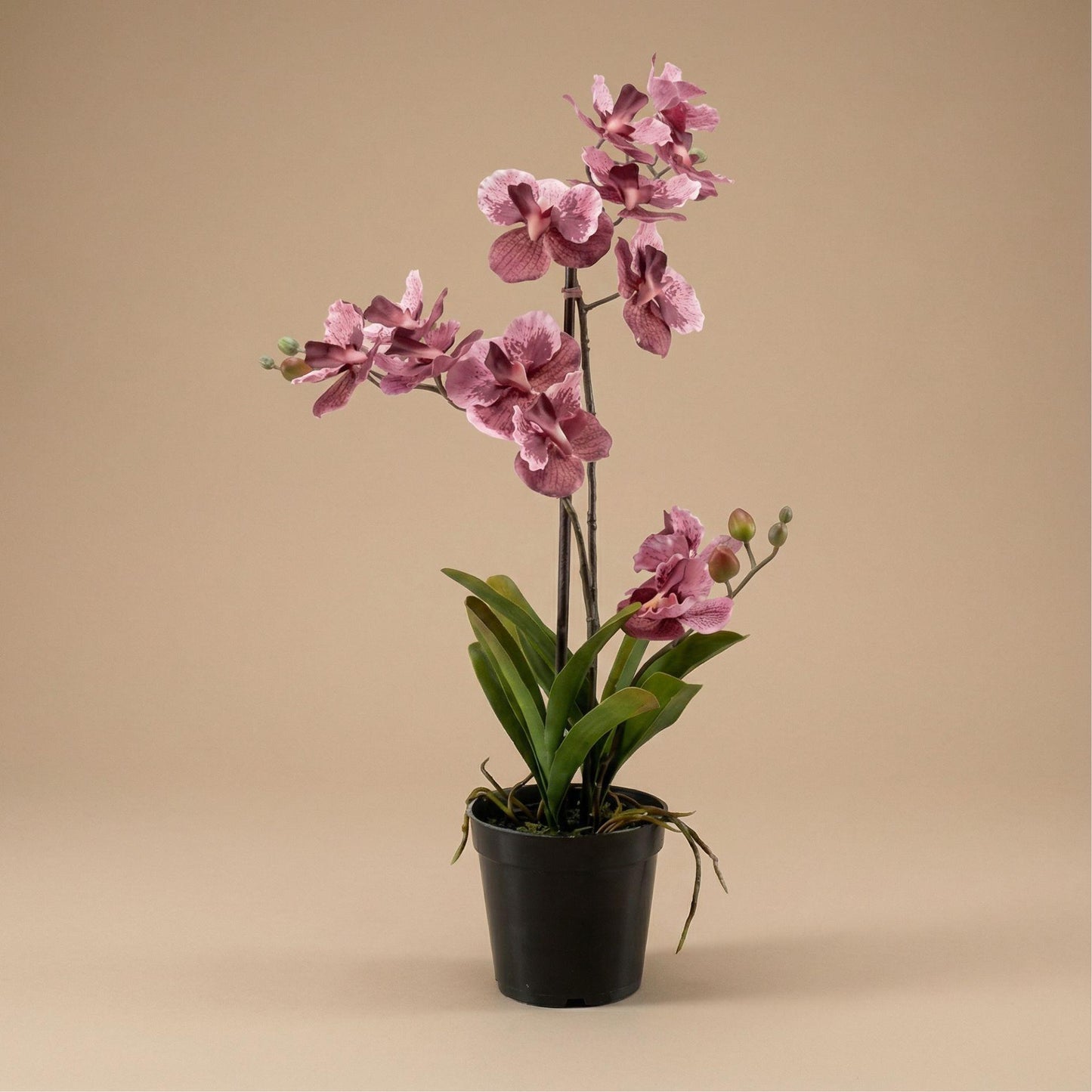 Orchidee Vanda, künstliche Pflanze, 60 cm, altrosa, im Topf