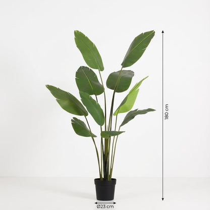 ARTIFICIAL Strelitzia Nicolai - 180cm