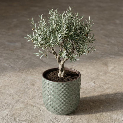 Pot relief groen D13,5