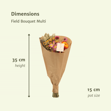 Dried flowers Field Bouquet Multi - Ø15cm - ↕35cm