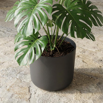 Elho B.for soft Antraciet - 25cm
