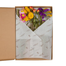 Trockenblumen – Blumen im Briefkasten – Set – 5 Stück – ↕30 cm