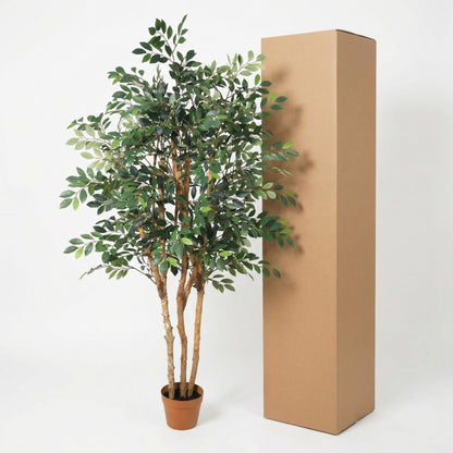 ARTIFICIAL Ficus Exotica - 150cm