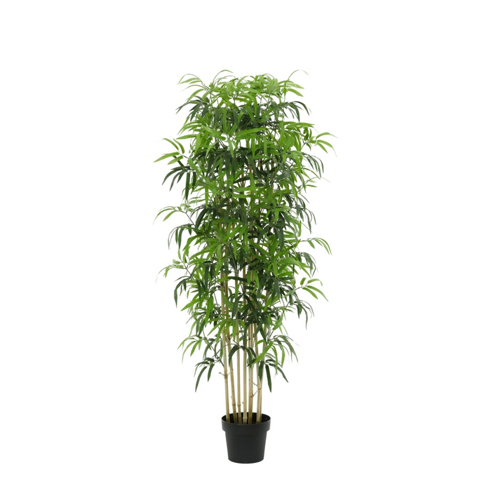 ARTIFICIAL Bamboe - 150cm