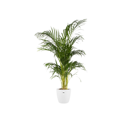 Pot elho Brussels Round Wit D30 x H27
