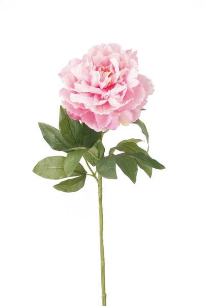 Künstliche Blumen Solo – Hellrosa – Pfingstrosen – 5 Stück – 65 cm