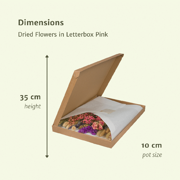 Droogbloemen in Letterbox Pink - ↕30cm - Pink