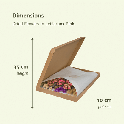 Droogbloemen in Letterbox Pink - ↕30cm - Pink