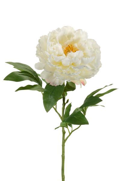 Künstliche Blumen Solo – Creme – Pfingstrosen – 5 Stück – 65 cm