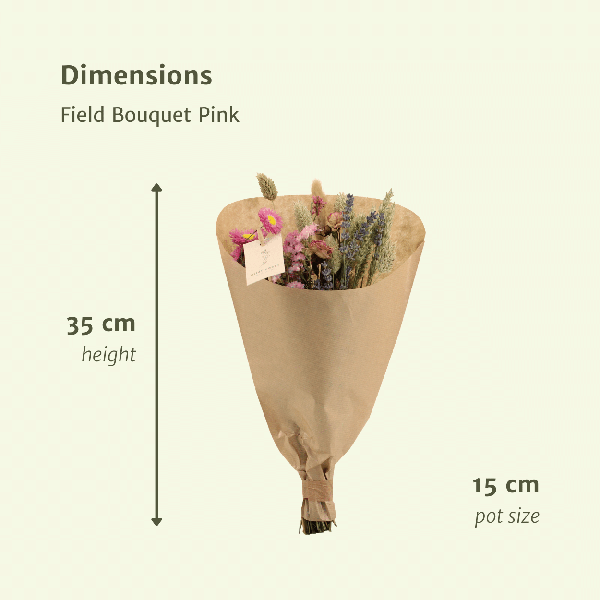 Trockenblumen-Feldstrauß Rosa - Ø25cm - ↕60cm - Ø15 - ↨35cm