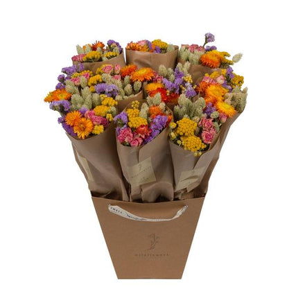 Dried flowers - Market More - Multi - ↕50cm