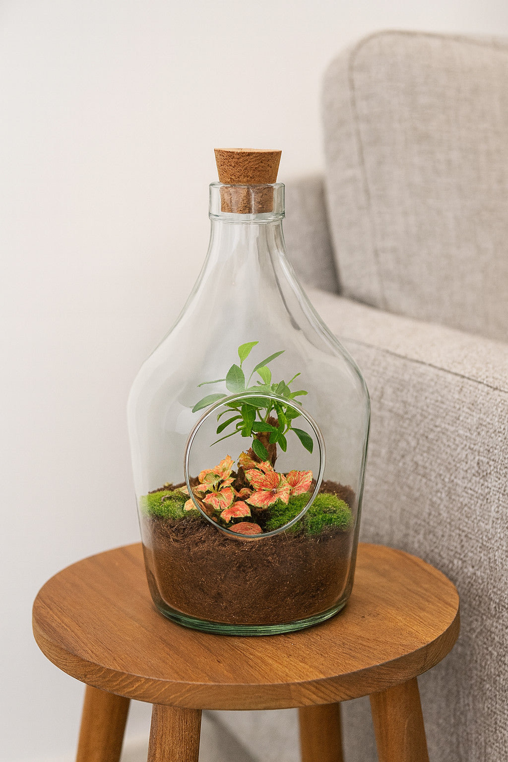 Open terrarium John - Bonsai & Ruby Lime ↑ 30 cm | productafbeelding 2