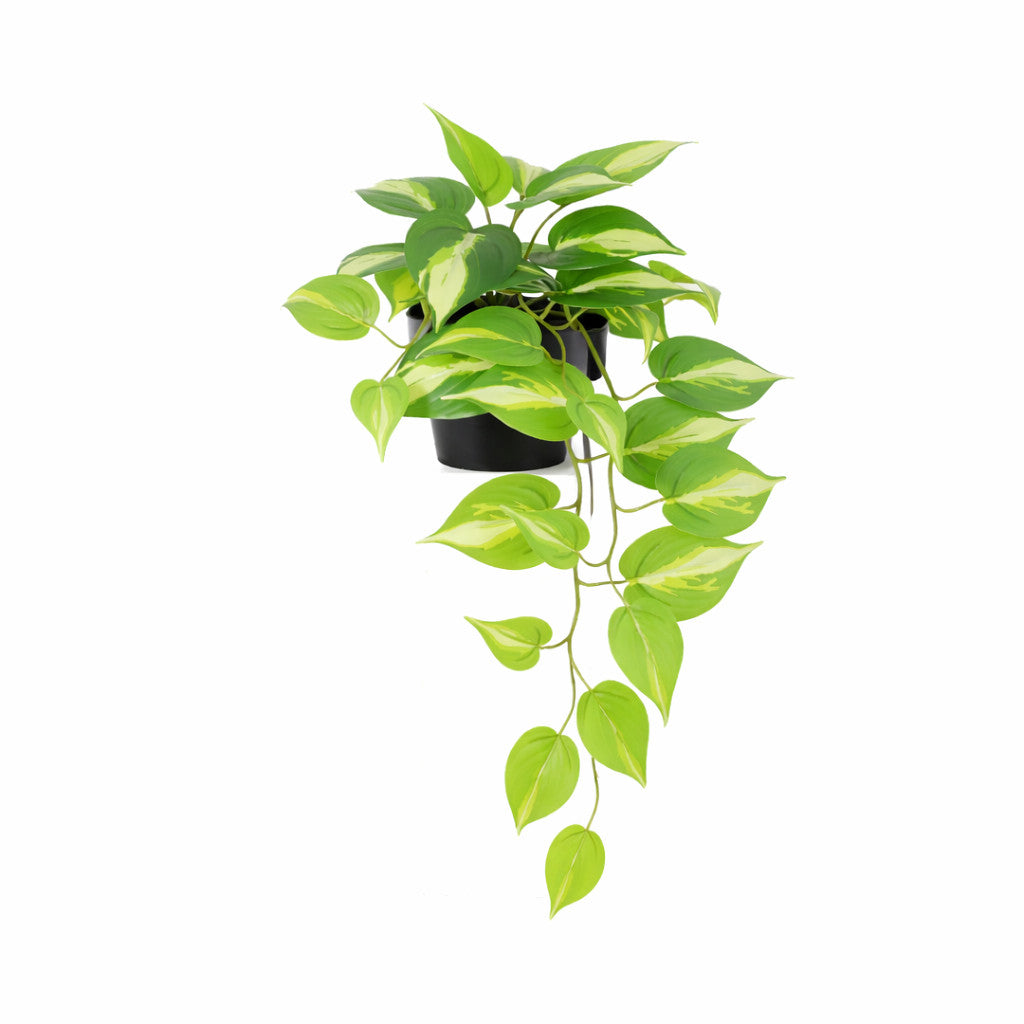 ARTIFICIAL Epipremnum Variegata - 37cm | productafbeelding 2