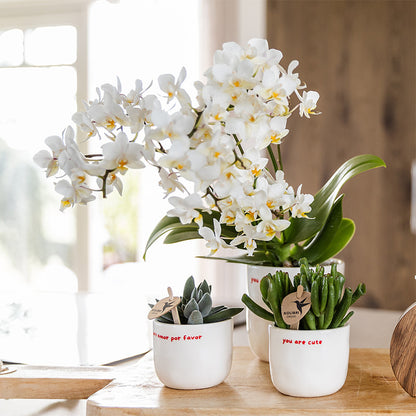 Kolibri Home | To the moon and back sierpot - Ø6cm | productafbeelding 7