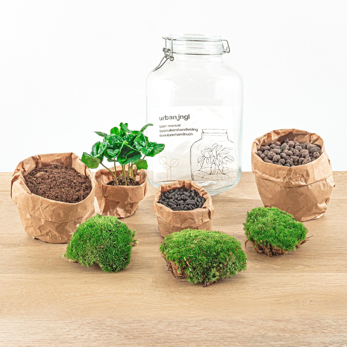 DIY-Terrarium – Einmachglas – Coffea Arabica – ↕ 28 cm – Rechen + Schaufel + Pinzette + Schere