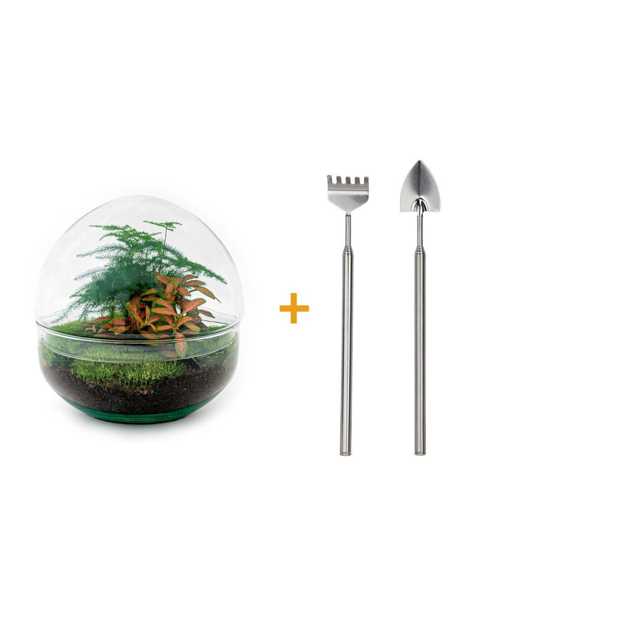 DIY-Terrarium-Set – Rote Kuppel – ↕ 20 cm – Rechen + Schaufel
