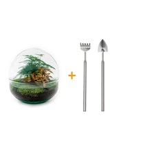 DIY-Terrarium-Set – Rote Kuppel – ↕ 20 cm – Rechen + Schaufel