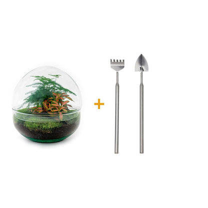 DIY-Terrarium-Set – Rote Kuppel – ↕ 20 cm – Rechen + Schaufel