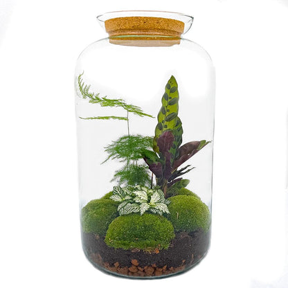 DIY-Terrarium - Botanical Sven XL - ↕ 43 cm - Rechen + Schaufel