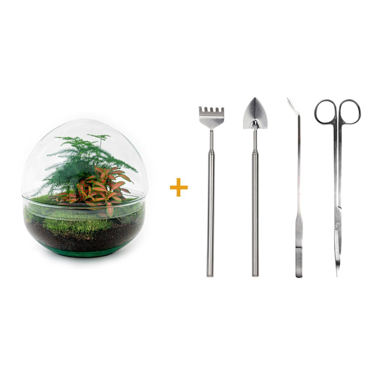 DIY-Terrarium – Kuppel Rot – ↕ 20 cm – Rechen + Schaufel + Pinzette + Schere