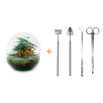 DIY-Terrarium – Kuppel Rot – ↕ 20 cm – Rechen + Schaufel + Pinzette + Schere