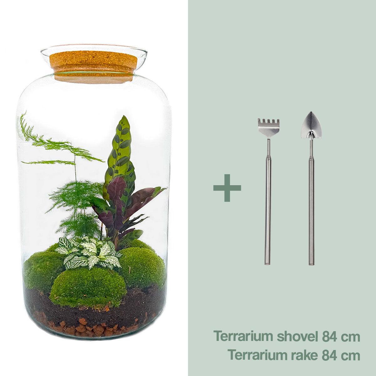DIY-Terrarium – Botanisches Sven XL – ↕ 43 cm – Normal