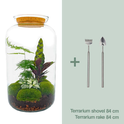 DIY-Terrarium – Botanisches Sven XL – ↕ 43 cm – Normal