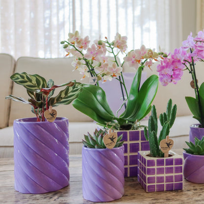 Kolibri Home | Candy sierpot | Hoog - Lilac - Ø6cm | productafbeelding 3