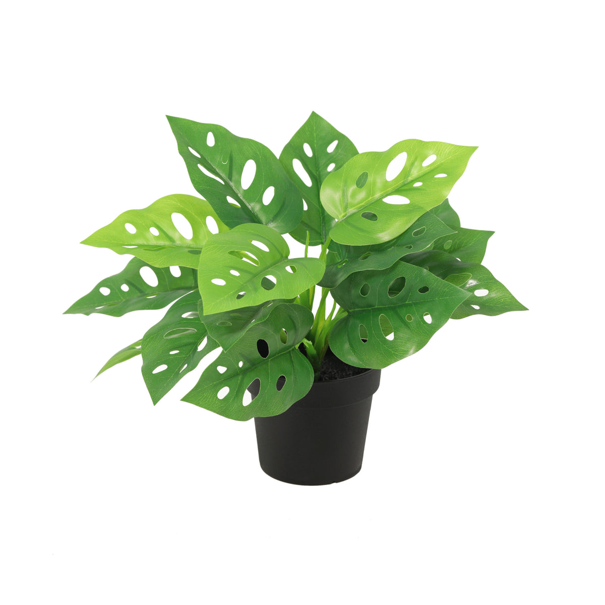 ARTIFICIAL Monstera Monkey leaf - 22cm | productafbeelding 2
