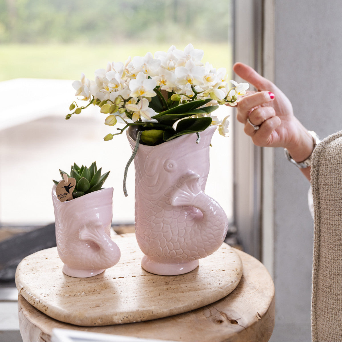 Kolibri Orchids | Witte orchidee 'Nazaré' + Fish pot roze - potmaat Ø9cm | bloeiende kamerplant - vers van de kweker |…