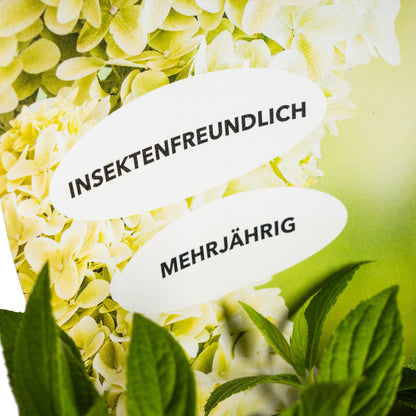 Label met de woorden 'INSEKTENFRIENDLICH' en 'MEHRJÄHRIG' tegen een achtergrond van hortensia's.