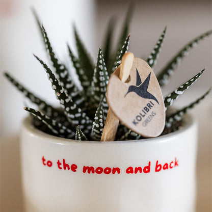 Kolibri Home | To the moon and back sierpot - Ø6cm | productafbeelding 8