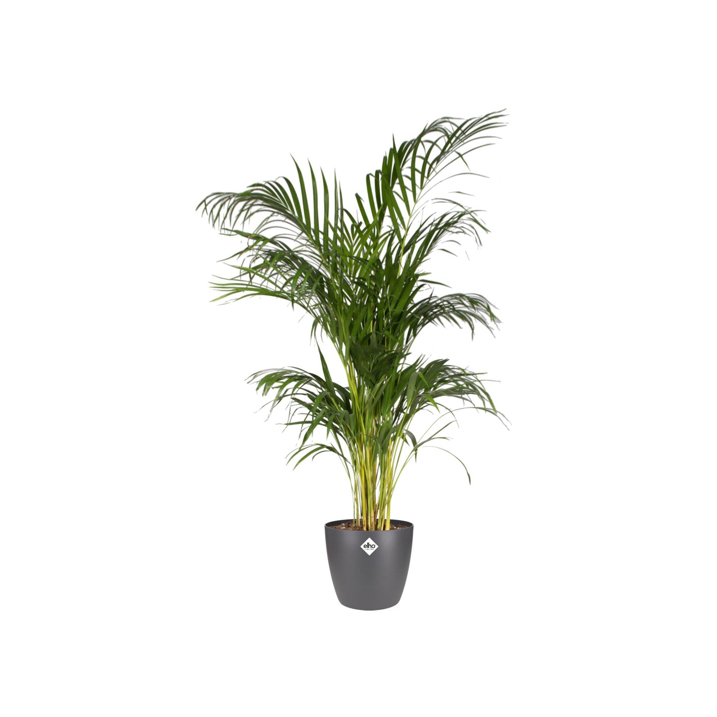 Topf elho Brussels Rund Anthrazit D30 x H27