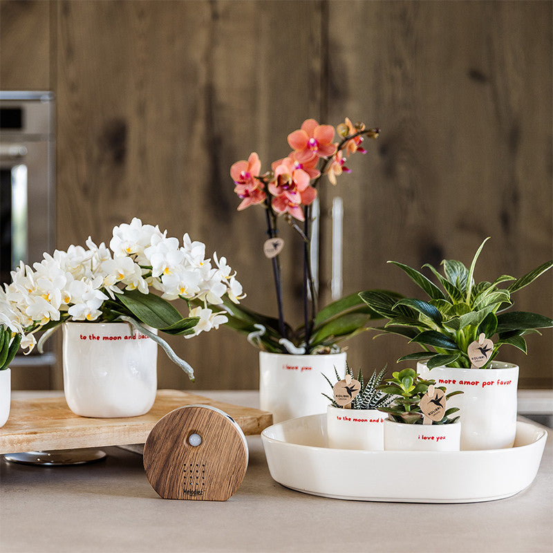 Kolibri Home | To the moon and back sierpot - Ø6cm | productafbeelding 9