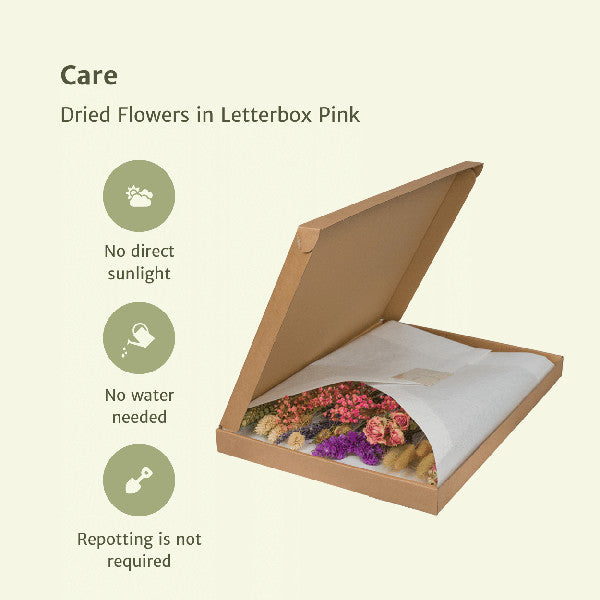Droogbloemen letterbox Pink - foto 3