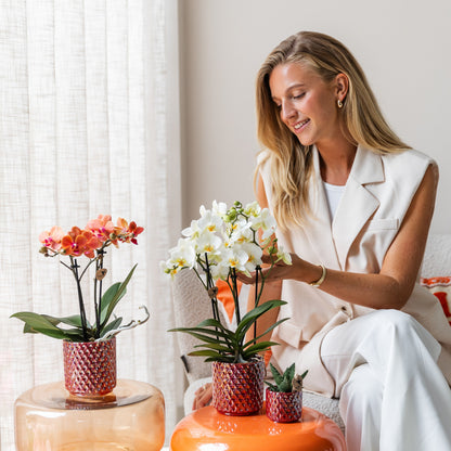 Kolibri Home | Diamond pearl sierpot - Red - Ø6cm | productafbeelding 7